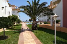 Apartamento en Denia - Apartamento de 2 dormitorios a 0 m de la playa