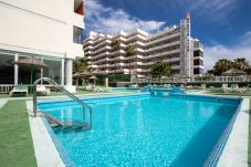 Apartamento en Playa de Las Americas - Apartamento para 3 personas a 300 m de la playa