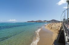 Casa en Las Palmas de Gran Canaria - Casa en Las Palmas de Gran Canaria