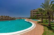 Apartamento en Palm - Mar - Apartamento de 1 dormitorios a 300 m de la playa